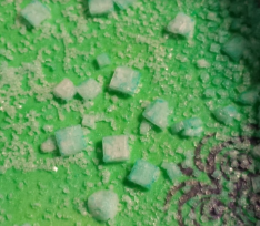 salt crystal lab image